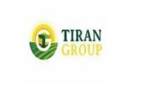 tiran group karir